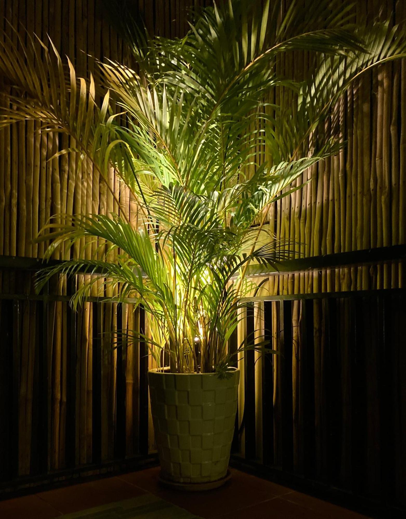 Lotus Haven Villa Σιέμ Ρέαπ Εξωτερικό φωτογραφία