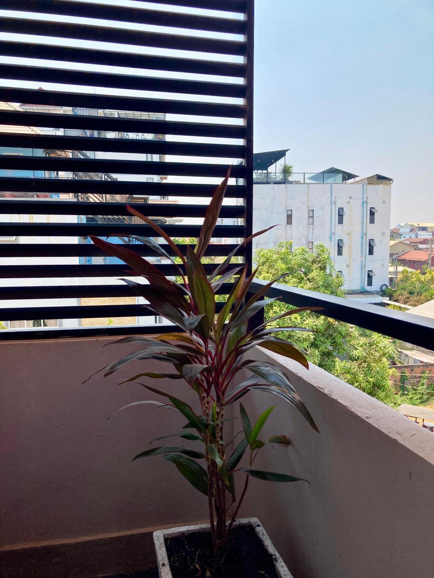 Lotus Haven Villa Σιέμ Ρέαπ Εξωτερικό φωτογραφία
